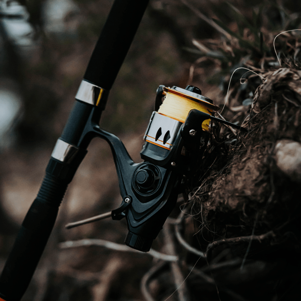 600STS Spinning Reel